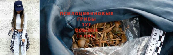 крисы Абаза