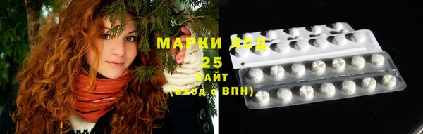 крисы Абаза