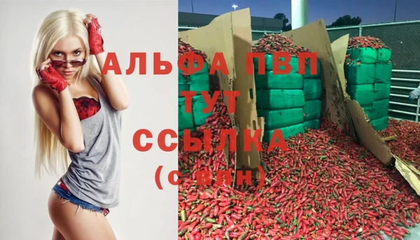 крисы Абаза