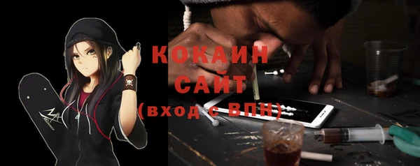 индика Остров