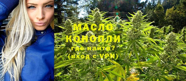 крисы Абаза