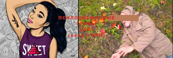 крисы Абаза