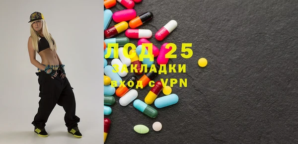 крисы Абаза