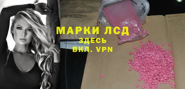 крисы Абаза