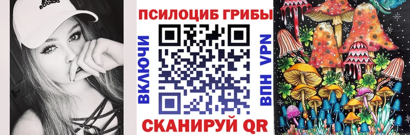 купить  сайты  Орск  Псилоцибиновые грибы прущие грибы 