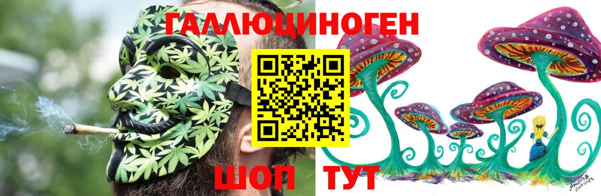 Галлюциногенные грибы Psilocybine cubensis Орск